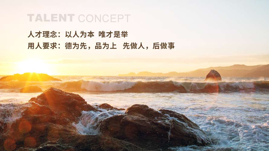 人才理念